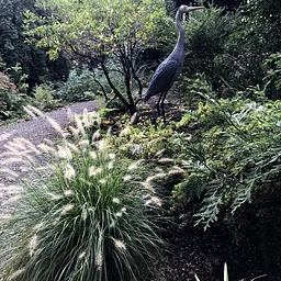 Open Garden Event