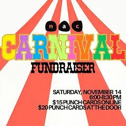 Carnival Fundraiser