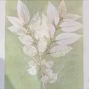 Monotype Printmaking - August ADVANCED
