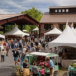 Field + Supply Fall Market