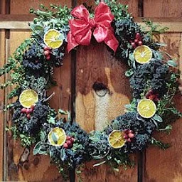 Winter Cheer