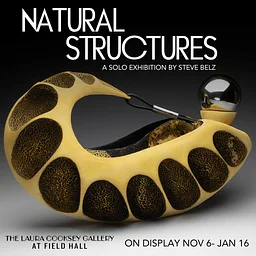 NATURAL STRUCTURES | A Solo Exhibition by Steve Belz