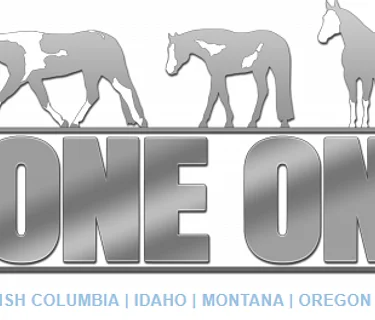 Zone One - APHA (Silverado Arena)