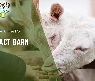 Contact Barn Chat