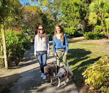 Dogs’ Day in the Garden