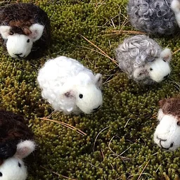 Felted Sheep Workshop