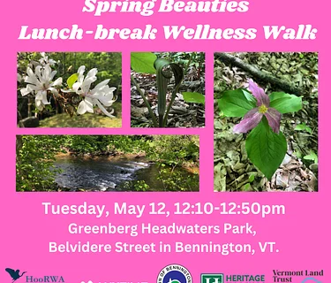 Spring Beauties Lunch-break Wellness Walk