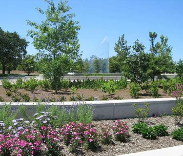Student Performances in the Park: The Marching Owl Band