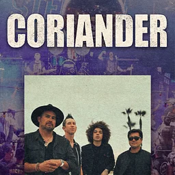 Coriander at Moonshine Flats