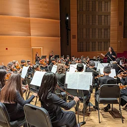 Nassau String Orchestra and Concert Orchestra at Adelphi University Performing Arts Center