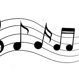 Viola and Percussion Performance