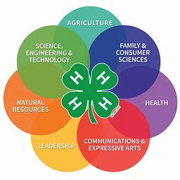 4-H Meetings