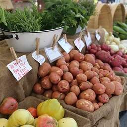 SoWa Open Market