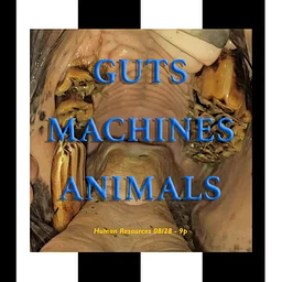 Anna Wittenberg, GUTS MACHINES ANIMALS. Artist videos from LA & beyond