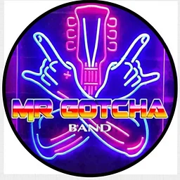 Mr. Gotcha!