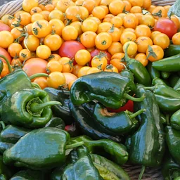 Cave Junction Farmers Market OPEN