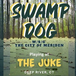 Swamp Dog