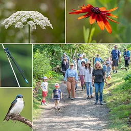 Ecosystem Explorer Adventures: Environmental Scientist Series