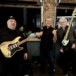 Live Music with Bluebirds
