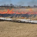 Fire and Seeds- Annual Fall Member Meeting