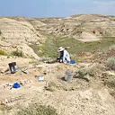 Digging Expedition