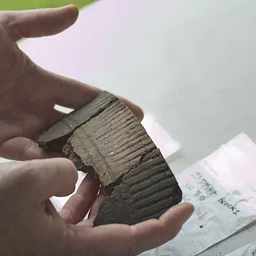 Insider Science Tour: Anthropology
