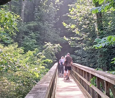 Golden Morning Walkers Club