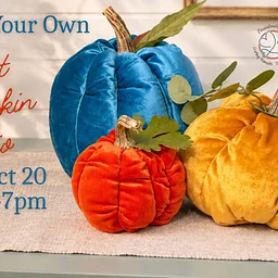 Create Your Own Velvet Pumpkin Trio