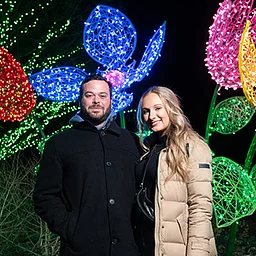 Gainesville Glows: Lanterns and Lights