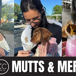 Mutts & Merlot: Dog Friendly Weekend