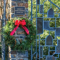 Holiday Greenery: Build Your Own Wreath