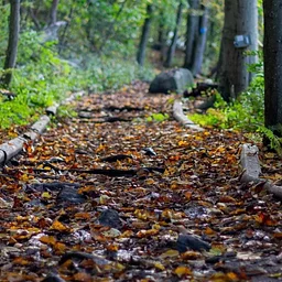 Hit the Trails: Daylight Savings Hike (for everyone ages 8+)