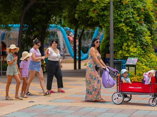 Walk MS: San Antonio 2026