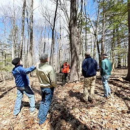 Reading the Forested Landscape