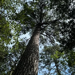 HIKE: FM2666 Fall Cleanup with HIKE