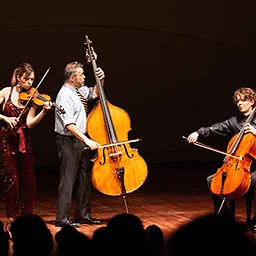 Lark, Roman & Meyer