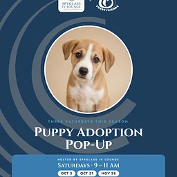 Puppy Adoption Pop-Up