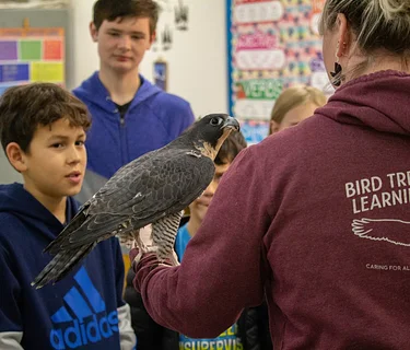Bird TLC Ambassador Birds in the Garden