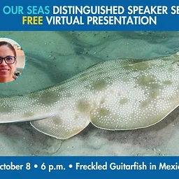 Save Our Seas Distinguished Speaker Series FREE Virtual Presentation