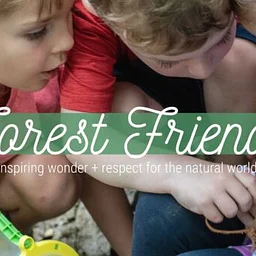 Little Forest Friends