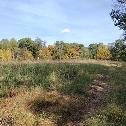 Rice Orchard Ridge Discovery Hike