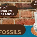 Teens: Clay Fossils