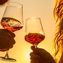 Member Summer Sips: Old vs. New
