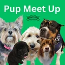 Pups on the Patio Meet Up