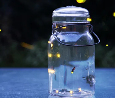 Firefly Garden Hikes