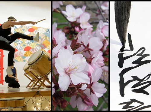 Cherry Blossom Celebration