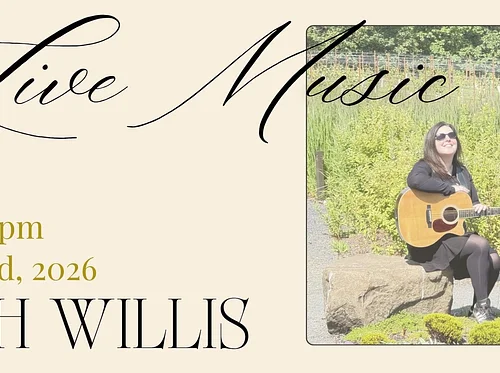 Beth Willis LIVE at Aurora Vineyards
