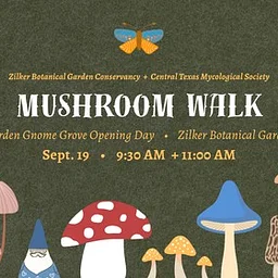 Garden Gnome Grove: Mushroom Walks with Central Texas Mycological Society