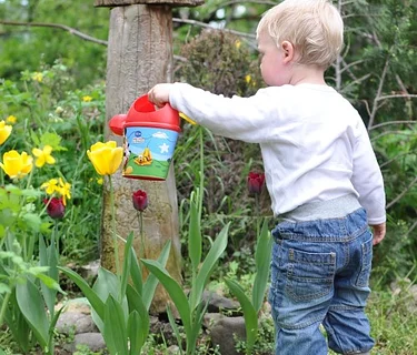 Little Wonders: Here Comes Spring!