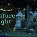 Nature Night